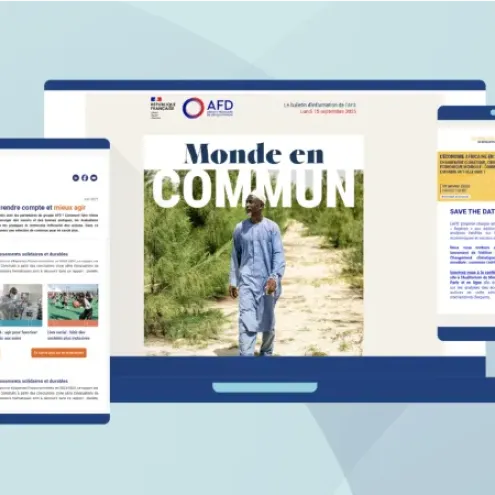 Newsletter AFD