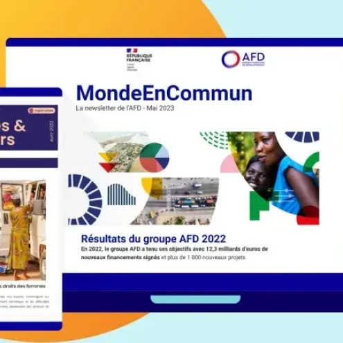 Newsletter AFD