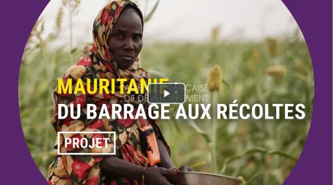 Mauritanie